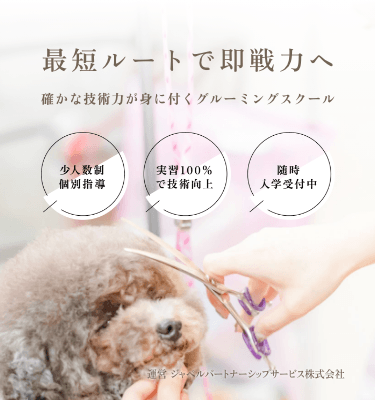 最短ルートで即戦力へ。確かな技術力が身に付くグルーミングスクール